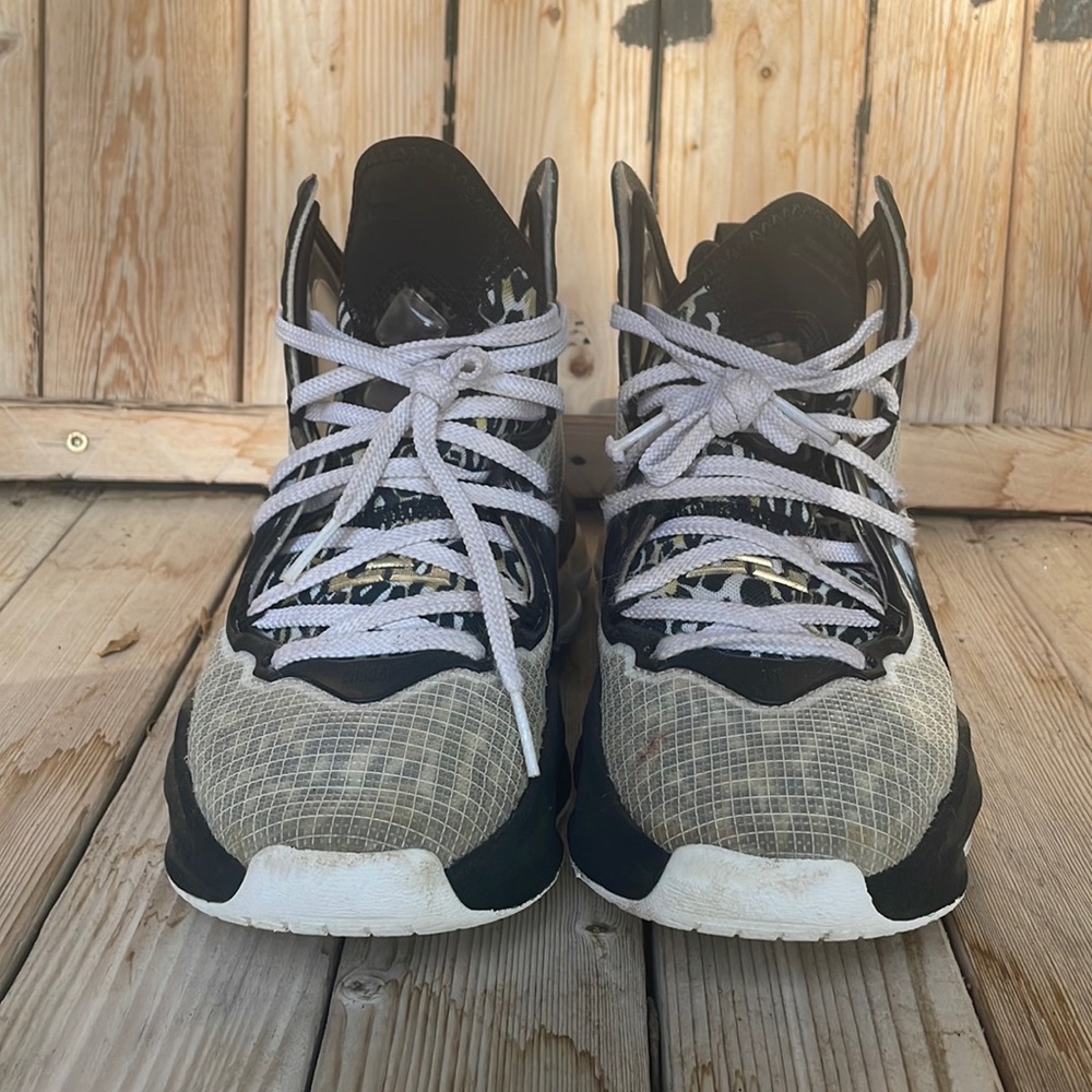 Used Nike Lebrons 21 size 4.5